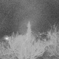 Webcam_20190310-220000
