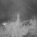 Webcam_20190311-193000