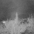 Webcam_20190311-200000