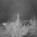 Webcam_20190311-203000