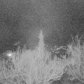 Webcam_20190311-210000