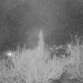 Webcam_20190311-213000