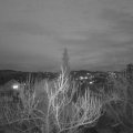 Webcam_20190312-190000