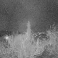 Webcam_20190312-200000
