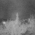 Webcam_20190312-203000
