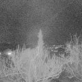 Webcam_20190312-210000