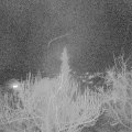 Webcam_20190312-213000