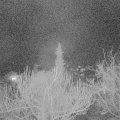 Webcam_20190312-220000