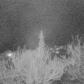 Webcam_20190313-210000