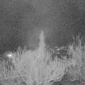 Webcam_20190313-213000