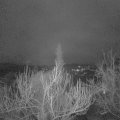 Webcam_20190314-060000