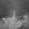 Webcam_20190314-200000