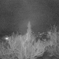 Webcam_20190314-203000
