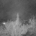 Webcam_20190314-220000