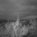 Webcam_20190315-060000