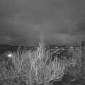Webcam_20190315-190000