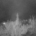 Webcam_20190315-200000
