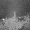 Webcam_20190315-213000