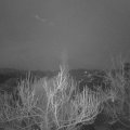 Webcam_20190316-060000