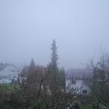 Webcam_20190316-080000
