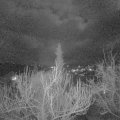 Webcam_20190316-200000
