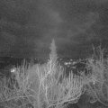 Webcam_20190316-203000