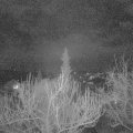 Webcam_20190316-213000