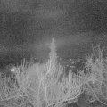 Webcam_20190316-220000