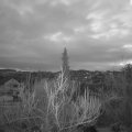 Webcam_20190317-060000