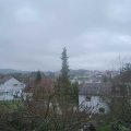 Webcam_20190317-113000