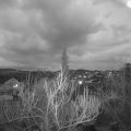 Webcam_20190317-190000