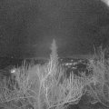 Webcam_20190317-203000