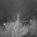 Webcam_20190317-210000