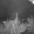 Webcam_20190317-213000