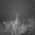 Webcam_20190317-220000