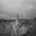 Webcam_20190318-060000