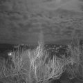 Webcam_20190318-203000