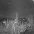 Webcam_20190318-213000