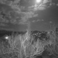 Webcam_20190319-203000