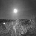 Webcam_20190320-200000