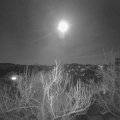 Webcam_20190320-203000