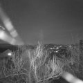 Webcam_20190321-193000