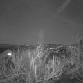Webcam_20190322-193000