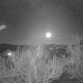 Webcam_20190322-220000