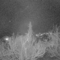 Webcam_20190323-200000