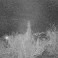 Webcam_20190324-210000