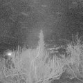 Webcam_20190324-213000
