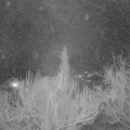 Webcam_20190324-220000