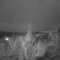 Webcam_20190325-193000