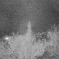 Webcam_20190325-203000